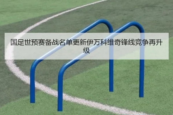 国足世预赛备战名单更新伊万科维奇锋线竞争再升级